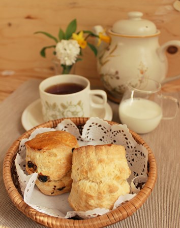 おすすめのスコーンの保存方法と温め直し方について Marguerite Tea Cakes